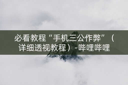 必看教程“手机三公作弊”（详细透视教程）-哔哩哔哩