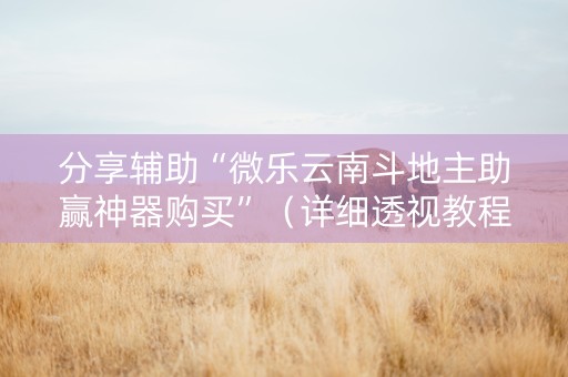 分享辅助“微乐云南斗地主助赢神器购买”（详细透视教程）-哔哩哔哩