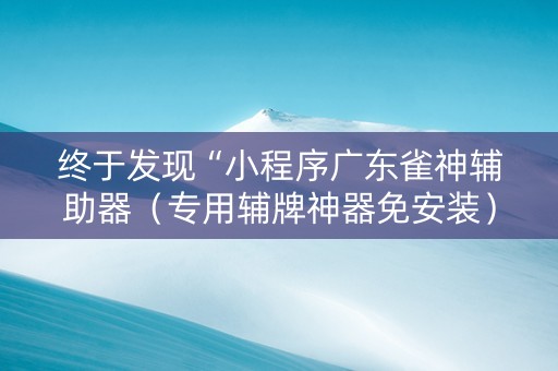 终于发现“小程序广东雀神辅助器（专用辅牌神器免安装）