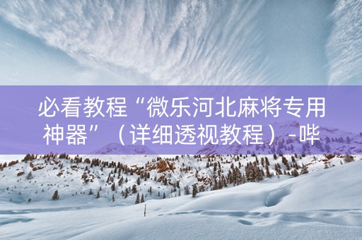 必看教程“微乐河北麻将专用神器”（详细透视教程）-哔哩哔哩