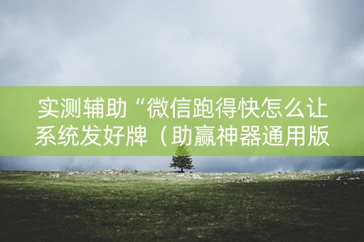 实测辅助“微信跑得快怎么让系统发好牌（助赢神器通用版）
