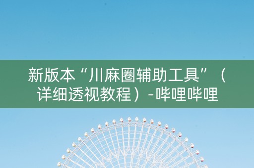 新版本“川麻圈辅助工具”（详细透视教程）-哔哩哔哩