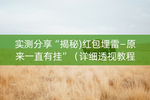 实测分享“揭秘)红包埋雷—原来一直有挂”（详细透视教程）-哔哩哔哩