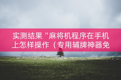 实测结果“麻将机程序在手机上怎样操作（专用辅牌神器免安装）