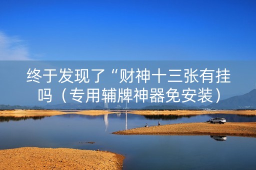 终于发现了“财神十三张有挂吗（专用辅牌神器免安装）