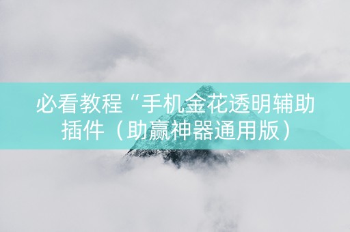 必看教程“手机金花透明辅助插件（助赢神器通用版）