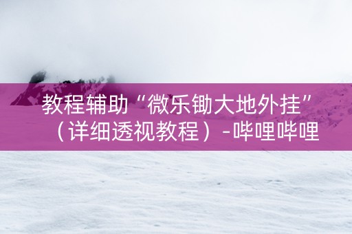 教程辅助“微乐锄大地外挂”（详细透视教程）-哔哩哔哩