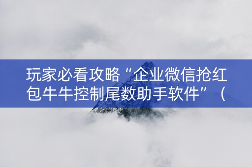 玩家必看攻略“企业微信抢红包牛牛控制尾数助手软件”（详细透视教程）-哔哩哔哩