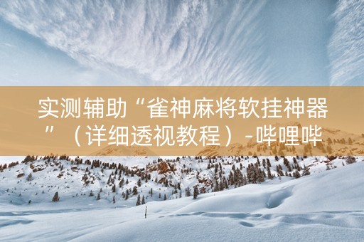 实测辅助“雀神麻将软挂神器”（详细透视教程）-哔哩哔哩