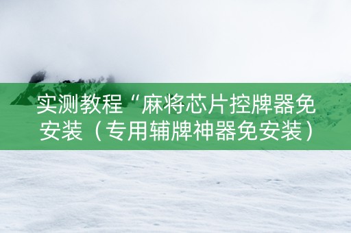实测教程“麻将芯片控牌器免安装（专用辅牌神器免安装）