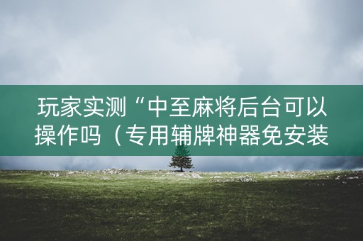 玩家实测“中至麻将后台可以操作吗（专用辅牌神器免安装）