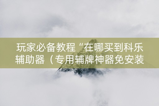 玩家必备教程“在哪买到科乐辅助器（专用辅牌神器免安装）