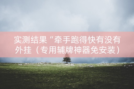 实测结果“牵手跑得快有没有外挂（专用辅牌神器免安装）