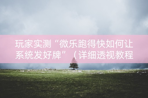 玩家实测“微乐跑得快如何让系统发好牌”（详细透视教程）-哔哩哔哩