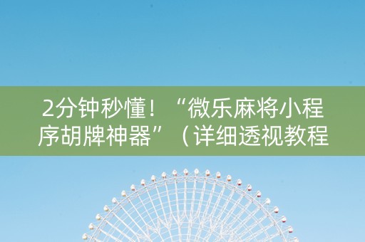 2分钟秒懂！“微乐麻将小程序胡牌神器”（详细透视教程）-哔哩哔哩