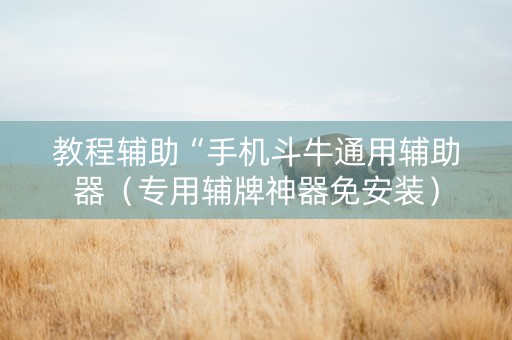 教程辅助“手机斗牛通用辅助器（专用辅牌神器免安装）