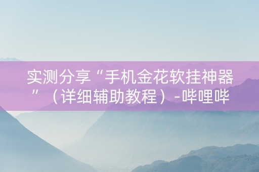 实测分享“手机金花软挂神器”（详细辅助教程）-哔哩哔哩