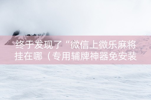 终于发现了“微信上微乐麻将挂在哪（专用辅牌神器免安装）