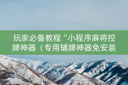玩家必备教程“小程序麻将控牌神器（专用辅牌神器免安装）