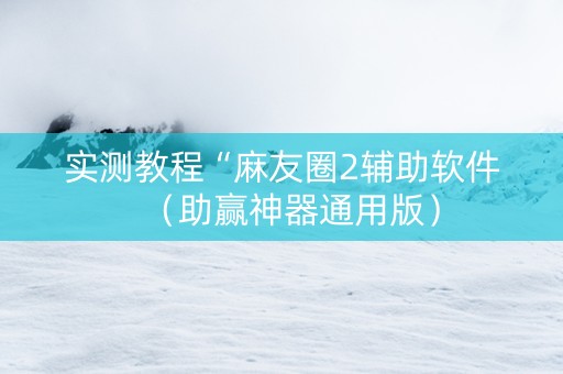 实测教程“麻友圈2辅助软件（助赢神器通用版）