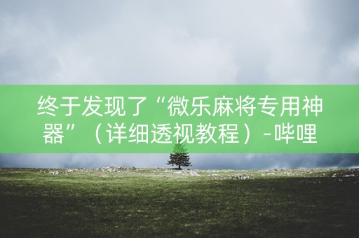 终于发现了“微乐麻将专用神器”（详细透视教程）-哔哩哔哩