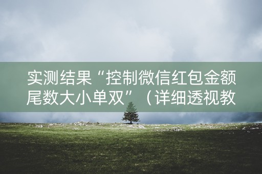 实测结果“控制微信红包金额尾数大小单双”（详细透视教程）-哔哩哔哩