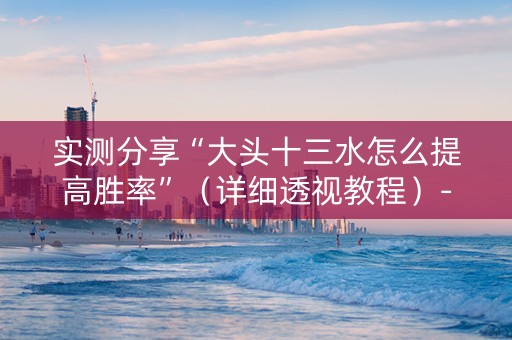实测分享“大头十三水怎么提高胜率”（详细透视教程）-哔哩哔哩