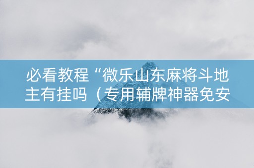 必看教程“微乐山东麻将斗地主有挂吗（专用辅牌神器免安装）