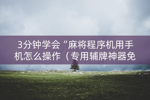 3分钟学会“麻将程序机用手机怎么操作（专用辅牌神器免安装）