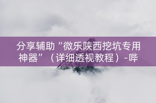 分享辅助“微乐陕西挖坑专用神器”（详细透视教程）-哔哩哔哩