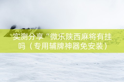 实测分享“微乐陕西麻将有挂吗（专用辅牌神器免安装）