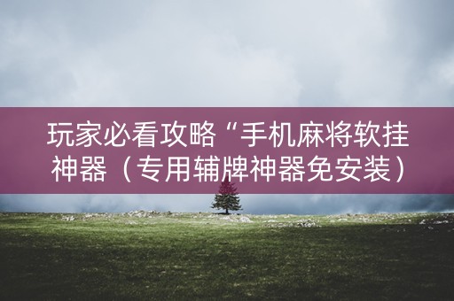 玩家必看攻略“手机麻将软挂神器（专用辅牌神器免安装）