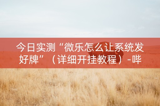 今日实测“微乐怎么让系统发好牌”（详细开挂教程）-哔哩哔哩