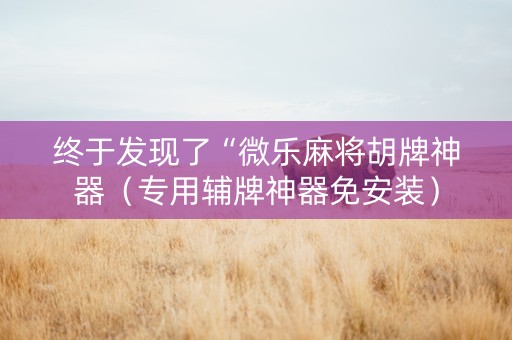 终于发现了“微乐麻将胡牌神器（专用辅牌神器免安装）