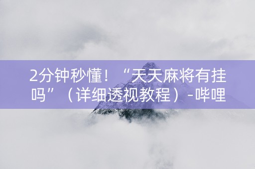 2分钟秒懂！“天天麻将有挂吗”（详细透视教程）-哔哩哔哩