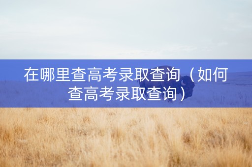 在哪里查高考录取查询（如何查高考录取查询）