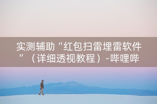 实测辅助“红包扫雷埋雷软件”（详细透视教程）-哔哩哔哩