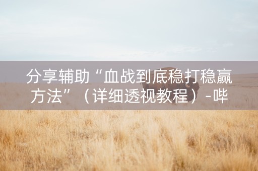 分享辅助“血战到底稳打稳赢方法”（详细透视教程）-哔哩哔哩