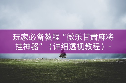 玩家必备教程“微乐甘肃麻将挂神器”（详细透视教程）-哔哩哔哩