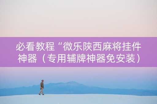 必看教程“微乐陕西麻将挂件神器（专用辅牌神器免安装）