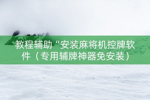 教程辅助“安装麻将机控牌软件（专用辅牌神器免安装）