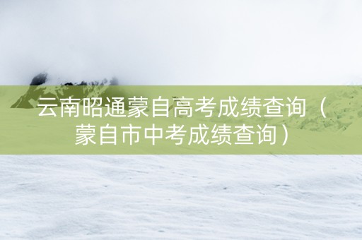 云南昭通蒙自高考成绩查询（蒙自市中考成绩查询）