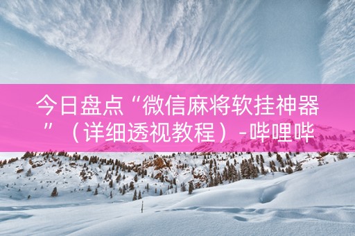 今日盘点“微信麻将软挂神器”（详细透视教程）-哔哩哔哩