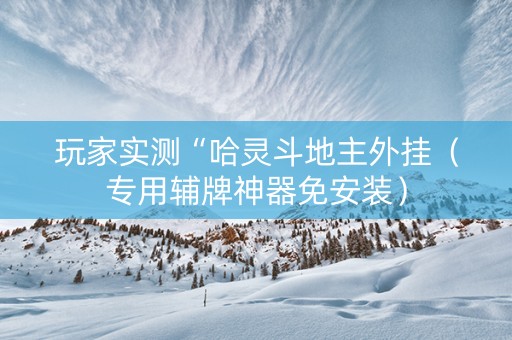 玩家实测“哈灵斗地主外挂（专用辅牌神器免安装）