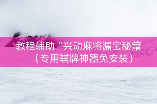 教程辅助“兴动麻将漏宝秘籍（专用辅牌神器免安装）