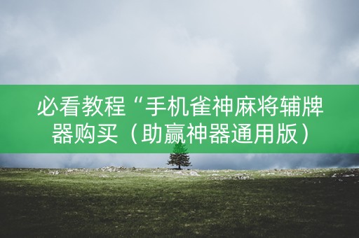 必看教程“手机雀神麻将辅牌器购买（助赢神器通用版）