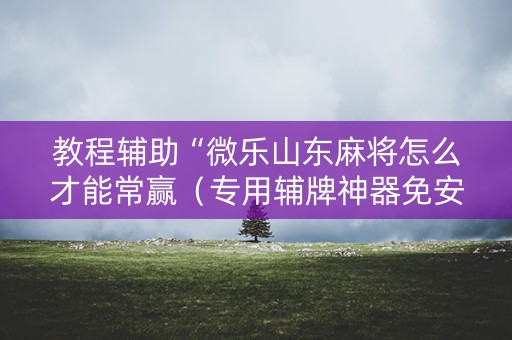 教程辅助“微乐山东麻将怎么才能常赢（专用辅牌神器免安装）