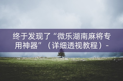 终于发现了“微乐湖南麻将专用神器”（详细透视教程）-哔哩哔哩