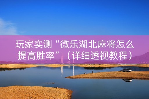 玩家实测“微乐湖北麻将怎么提高胜率”（详细透视教程）-哔哩哔哩