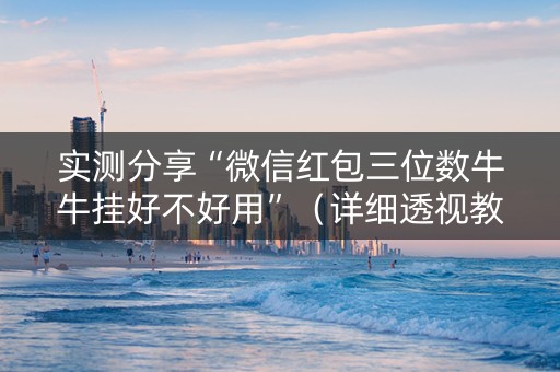 实测分享“微信红包三位数牛牛挂好不好用”（详细透视教程）-哔哩哔哩